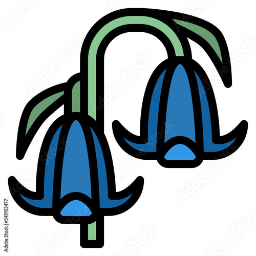 bluebell flower