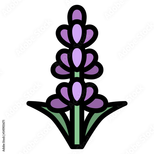 lavender flower