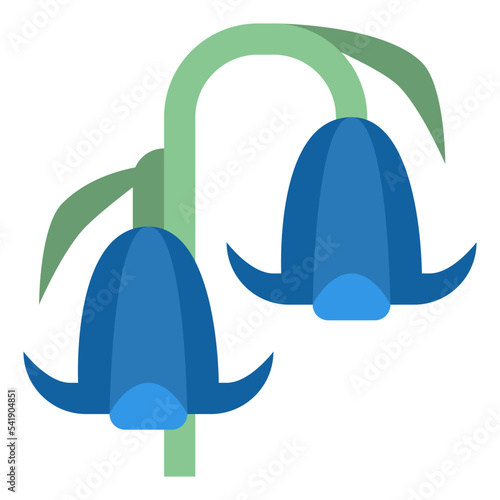 bluebell flower