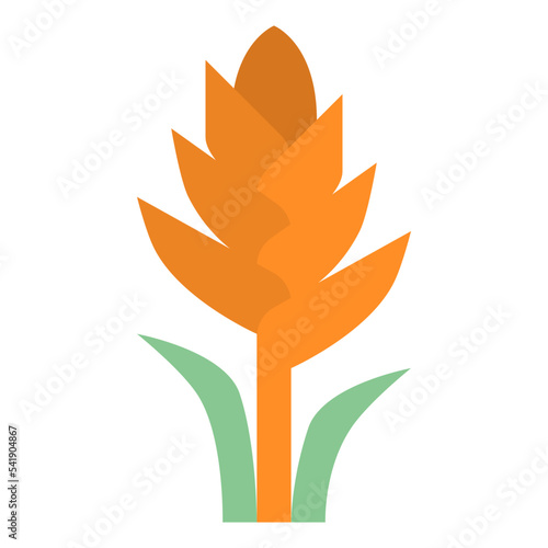 Slika na platnu bromeliad flower