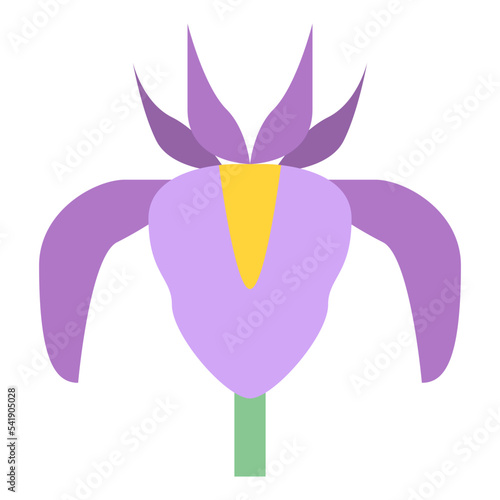 iris flower