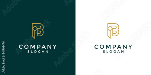 Modern and simple letter BI or IB initial logo