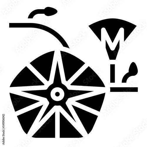 morning glory flower