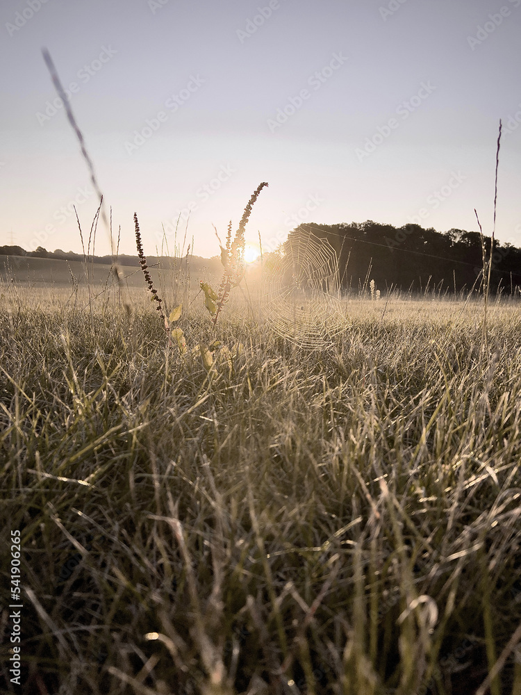 Obraz premium Natur Zauber