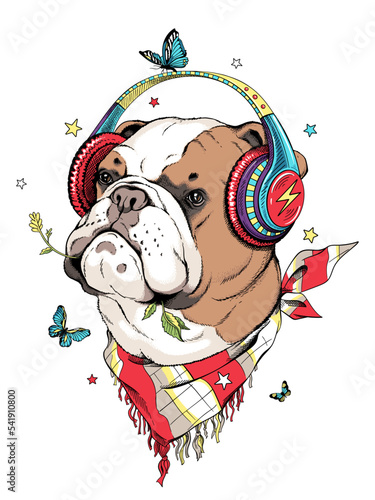 Cute english bulldog in headphones and with a sprig in his teeth. Dog with butterflies and stars. Dreamer illustration. Stylish summer picture for printing on any surface