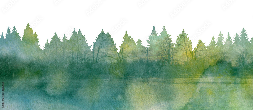 Abstract watercolor forest. Forest isolated illustration template on white background. - obrazy, fototapety, plakaty 
