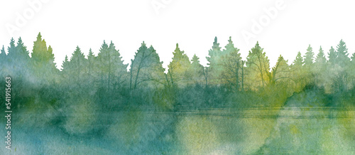 Abstract watercolor forest. Forest isolated illustration template on white background. © Sergei