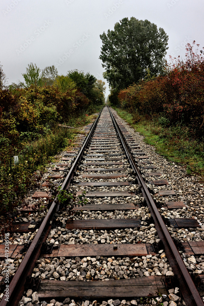 Fototapeta premium Tracks