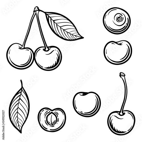 Whole cherry, half and cherry leaf. Vector illustration of a cherry isolated on a white background.