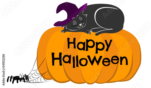 Gatto che dorme su zucca halloween con ragno e ragnatela