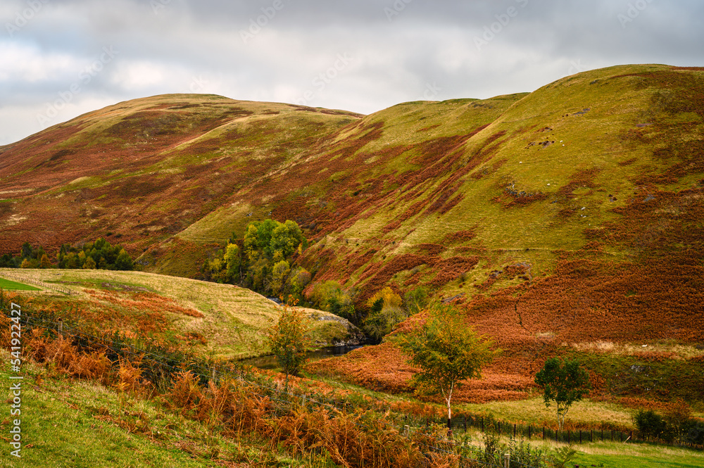River Coquet passes below Middle Moor, in the remote Upper Coquetdale Valley, located in the Cheviot Hills close to the Scottish Border in Northumberland National Park