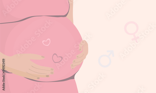 Pregnant woman's belly with hand over tummy. Vector illustration.