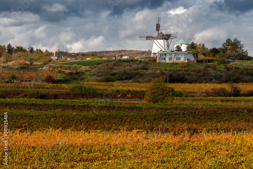 Windmühle Retz mit bunten Weingärten im Vordergrund