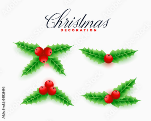 set of four christmas ilex leaves design for xmas decoration