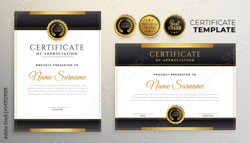 multipurpose business certificate template set of two