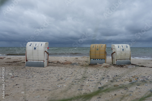 beach chairs on the beach