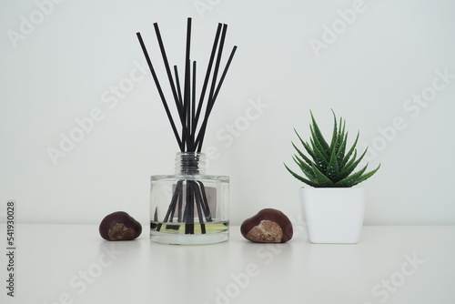 Incense sticks are dipped into a glass cubic vessel with essential oils. Interior decor. White background. The smell of winter chestnut. Chestnut fruits. Sansevier or aloe plant in a pot photo