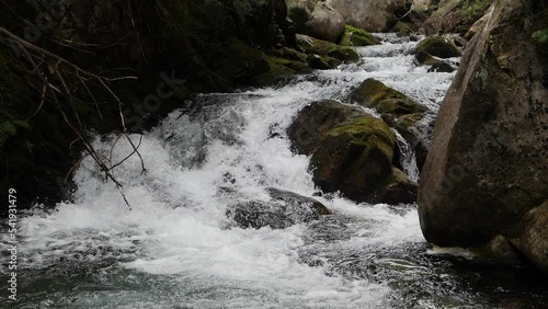 Mountain river details background slow motion. Wild eco environment in Pirin mountain in Bulgaria, Europe.
 photo