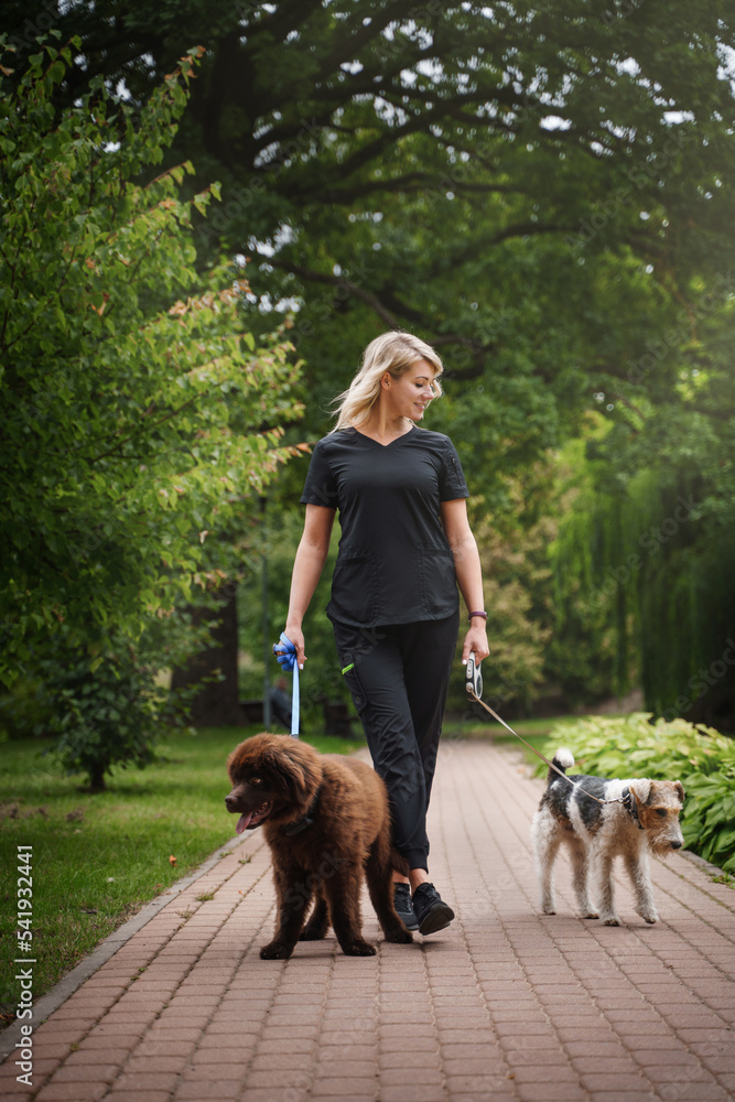 Shot of woman walking in park on her weekend with her two pedigreed dogs.