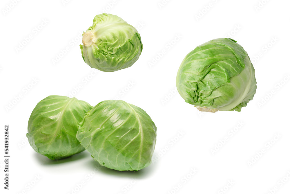 Cabbage isolated on white background. Cabbage isolated on white background.