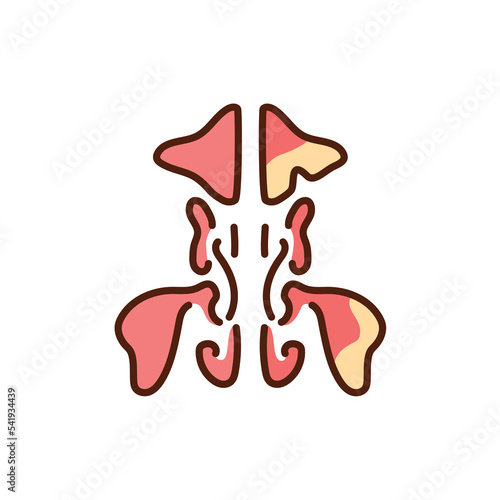 Sinusitis in the sinus color line icon. Pictogram for web page