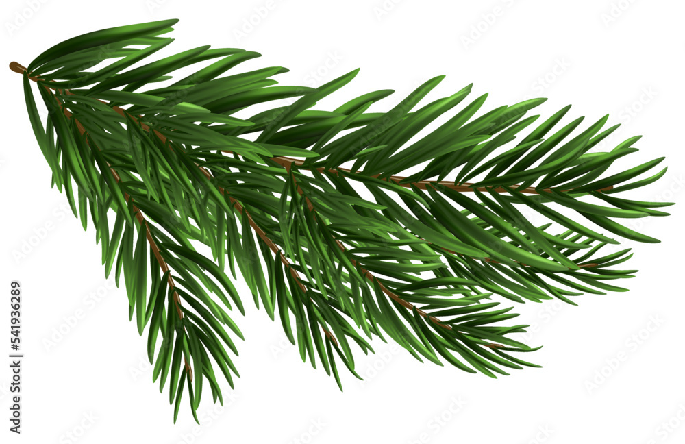 Christmas Fir Tree Branch - obrazy, fototapety, plakaty 