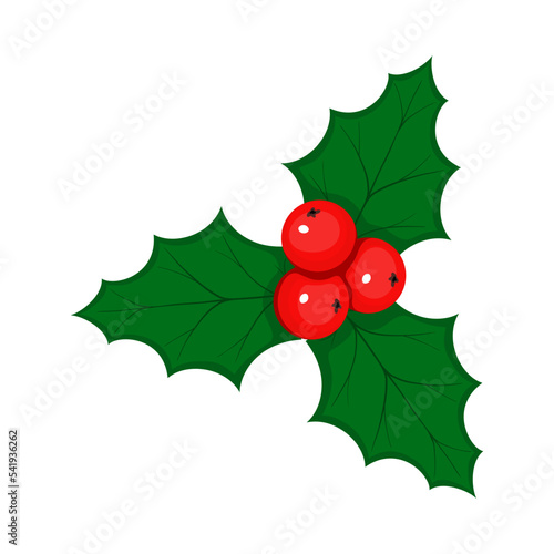 Christmas Holly Berry
