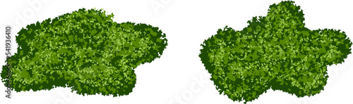 Set of green moss bushes or forest lichen with realistic texture isolated on white background. Marsh plants, bog flora. Vector illustration