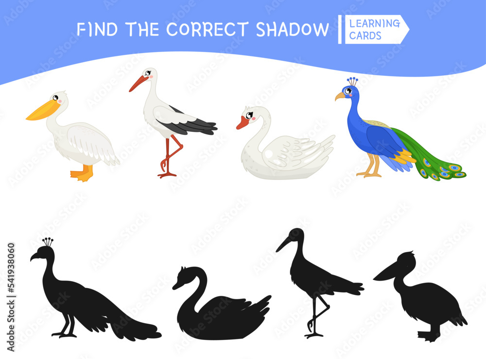 Obraz premium Educational game for children. Find the right shadow. Kids activity with cute cartoon birds.