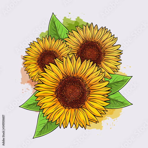 Hand drawn natural exquisite sunflowers, blooming sunflowers in spring with watercolors splashes