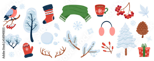 Winter objects collection in cartoon hand drawn style. Winter illustrations set - snowy trees, clothes, snowballs, spruce branches, berries, etc. Decorative elements for your seasonal design.
