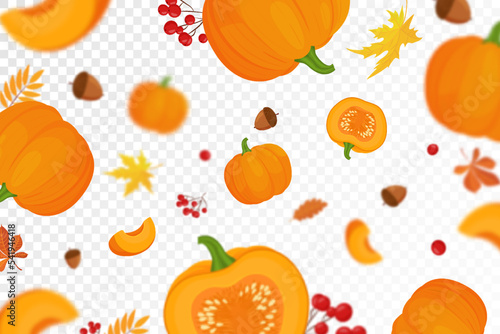 Background of orange autumn pumpkins with defocused blur effect for Harvest festival or Thanksgiving day. Pumpkins of different size on transparent background. Vector flat design