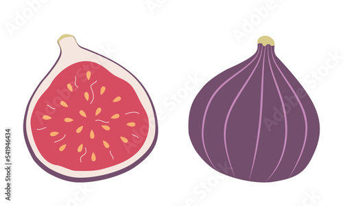 Ripe figs. Whole fruit and half cut. Flat vector illustration isolated on white background.