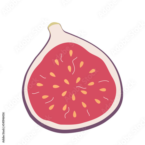 Half of figs. Slice of ripe tropical fruit. Hand-drawn colored flat vector illustration isolated on white background.