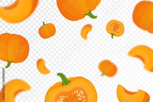 Background of orange autumn pumpkins with defocused blur effect for Harvest festival or Thanksgiving day. Pumpkins of different size on transparent background. Vector flat design
