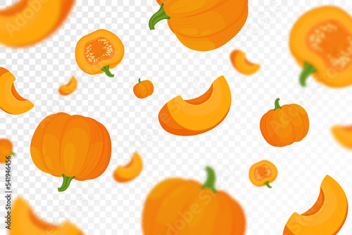 Background of orange autumn pumpkins with defocused blur effect for Harvest festival or Thanksgiving day. Pumpkins of different size on transparent background. Vector flat design