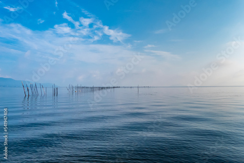 青々とした美しい琵琶湖の湖西地区　琵琶湖の魞漁（エリ漁）は「エリ漁などの琵琶湖の伝統漁業」として世界農業遺産に登録されました