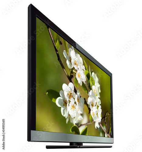 Flat screen tv with flowers on screen isolated  3d  monitor realistic illustration.