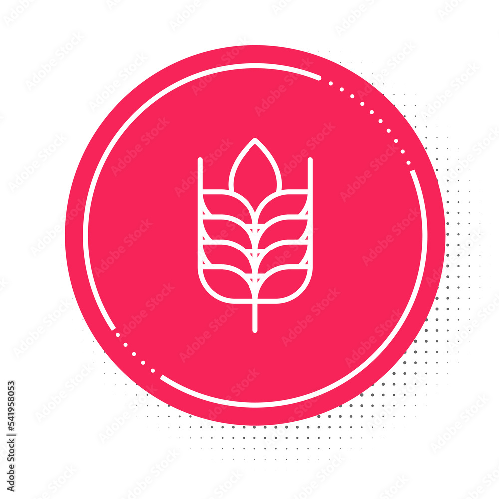 White line Cereals set with rice, wheat, corn, oats, rye, barley icon isolated on white background. Ears of wheat bread symbols. Red circle button. Vector White line Cereals set with rice, wheat, corn, oats, rye, barley icon isolated on white background. Ears of wheat bread symbols. Red circle button. Vector