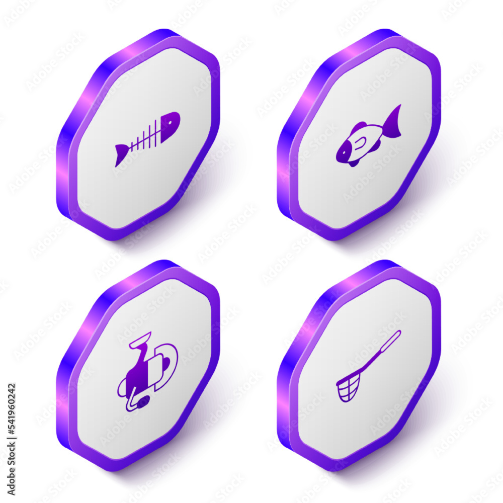 Set Isometric Fish skeleton, Spinning reel for fishing and Fishing net icon. Purple hexagon button. Vector Set Isometric Fish skeleton, Spinning reel for fishing and Fishing net icon. Purple hexagon button. Vector