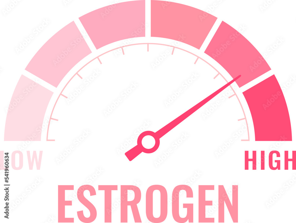 Estrogen level meter, vector illustration