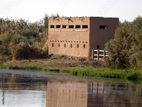 Azraq wetland reserve, Jordan photo