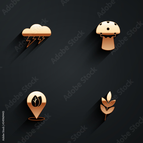 Set Cloud and lightning, Mushroom, Location with leaf and Leaf icon with long shadow. Vector