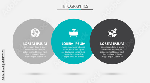Set Chow mein on plate, Served cucumber and Chicken egg with vegerables. Business infographic template. Vector
