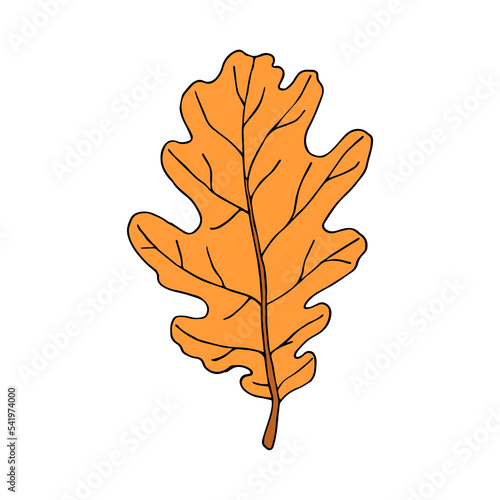 Fallen oak leaf in cartoon style. Vector illustration isolated on white