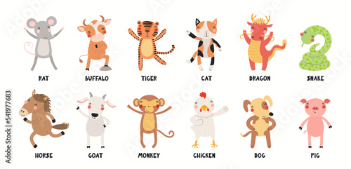 Twelve animals of Vietnamese zodiac, cute cartoon Asian astrological signs collection, isolated on white. Hand drawn vector illustration. Flat style design. New Year Tet card, banner, poster element.