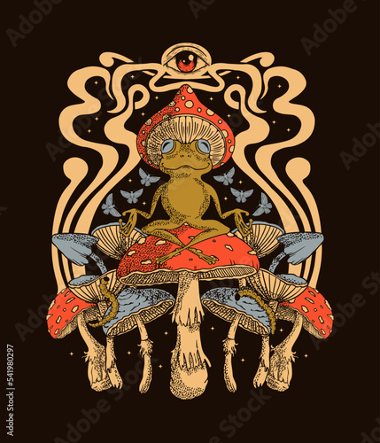 Frog sits on fly agaric, psychedelic print on a T -shirt