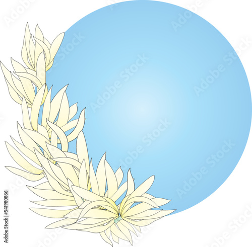 Abstract of chempaka flower on blue circle background.