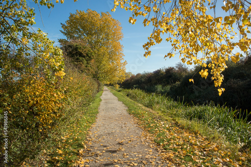 Canal towpath in Autumn photo