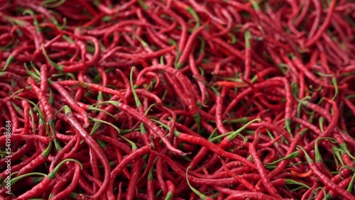 Cabe or cabai merah keriting (red curly chili) is one of the most wanted chili varieties in Indonesia. photo